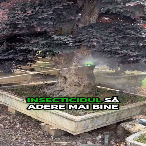 N-OIL – adjuvant pe bază de ulei vegetal pentru tratamente pomi